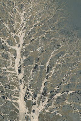 Between the branches 2