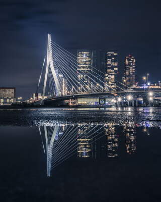 Puddlegram Erasmusbrug