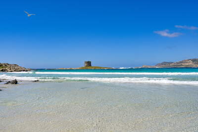 Sardinia La Pelosa beach