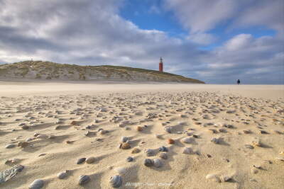 Shells on the beach near the Texel lighthouse defy the strong wind | Picfee