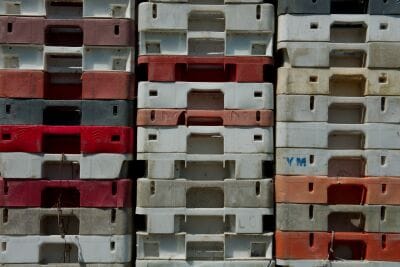 Aangespoelde viskratten