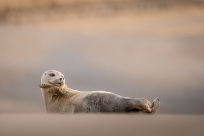 Paint me like one of your French girls