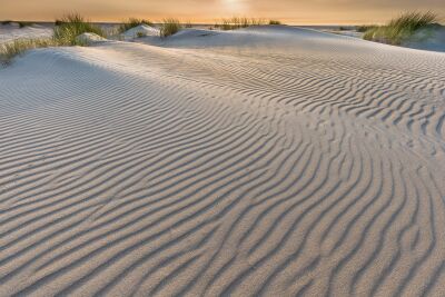 Structuren in de duinen op Texel