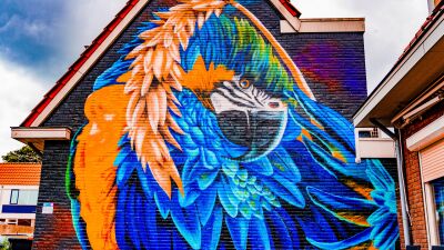 Murals Sluyswijk Deventer