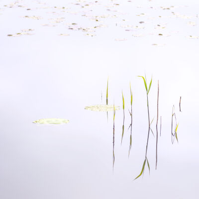 weerspiegeling water