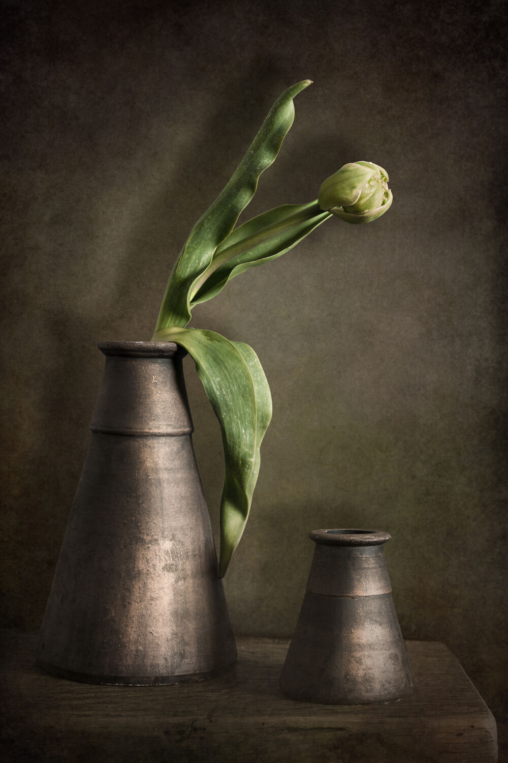 Stilleven met tulp