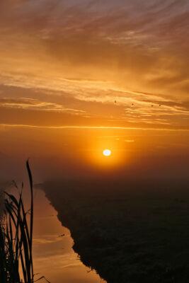Zonsopkomst in de polder