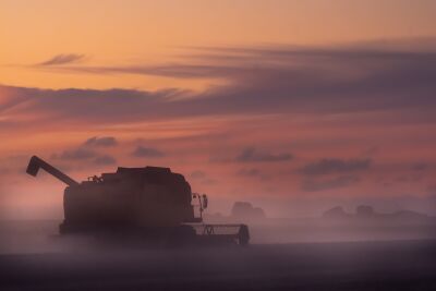 Dorsen bij zonsondergang