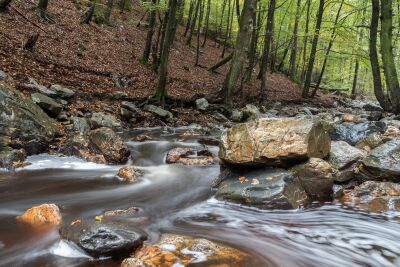 Der Fluss Hoëgne in den Ardennen