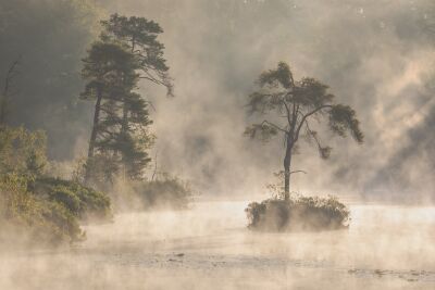 Ochtendgloren in de mist