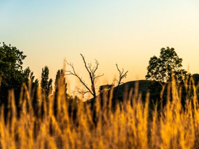 Een Engels landschap in de avond