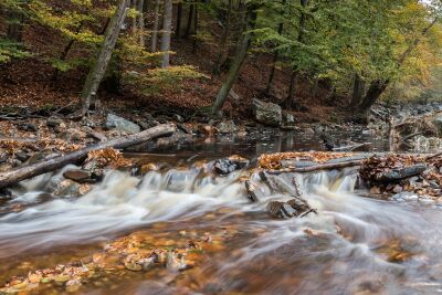 Herbst in den Ardennen