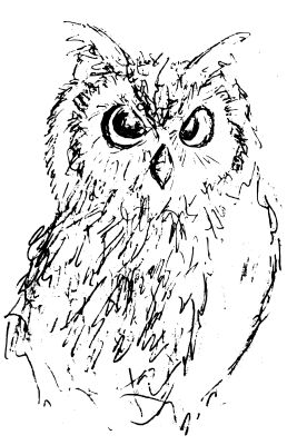 Zwart wit pentekening van een uil