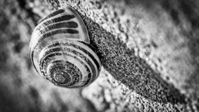 Schuilen tegen het weer