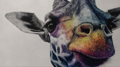 Giraffe Met Regenbooglicht in Grafische Stijl