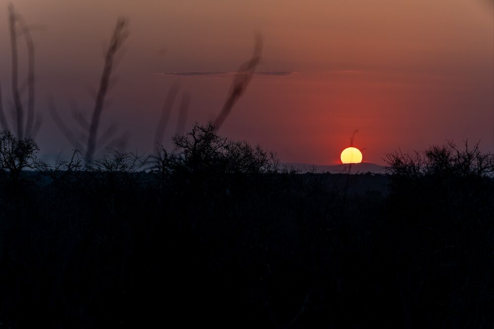 Zonsondergang in Kruger Nationaal Park, Zuid-Afrika