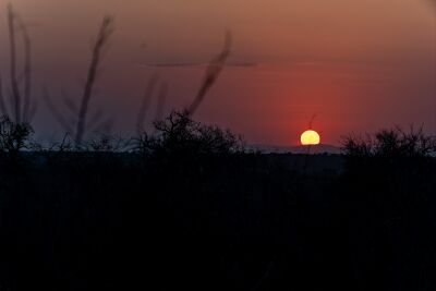 Zonsondergang in Kruger Nationaal Park, Zuid-Afrika