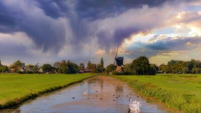 View of a classic polder mill in the Alblasserwaard with waterfowl in their natural habitat.