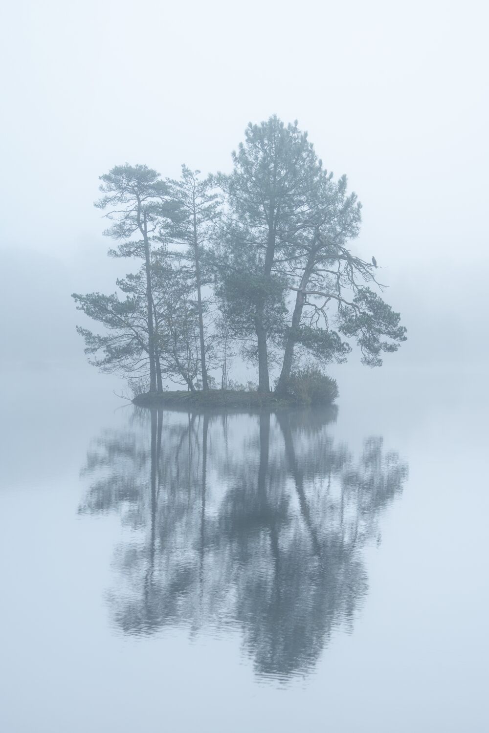 Minimalisme in de mist