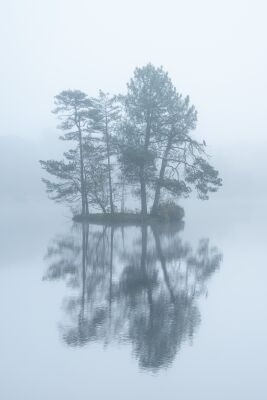 Minimalisme in de mist