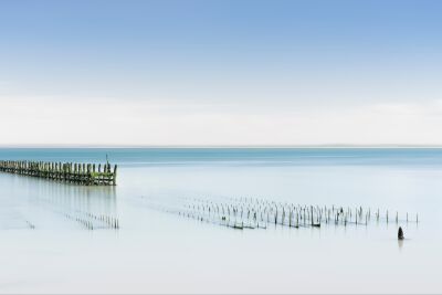 Austernbänke in Cancale in Frankreich