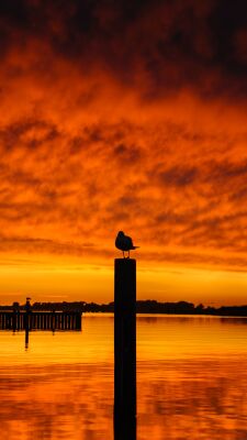 Zonsondergang aan het Veerse Meer
