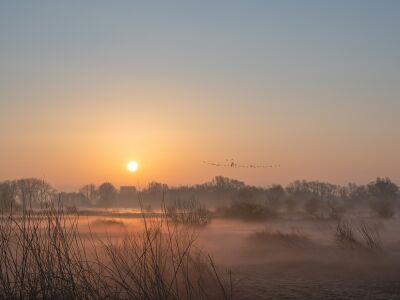 Meinerswijk part 2