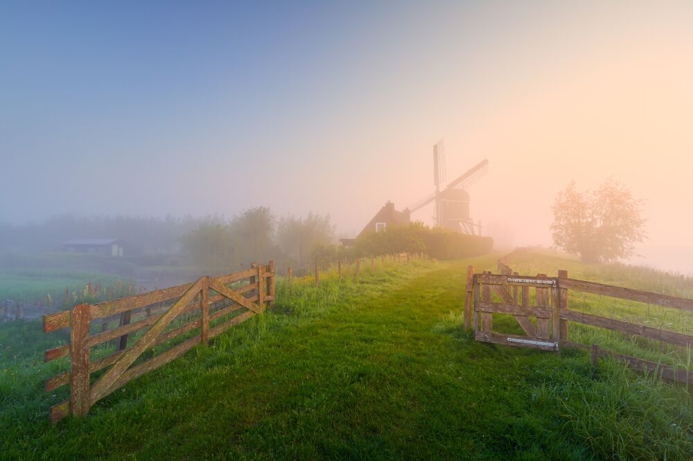 Hollands polderlandschap tijdens een mistige zonsopkomst