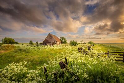 Een kippenschuur in de buurt van Den Hoorn op Texel