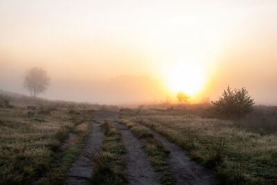 Rozendaalse veld part 5