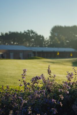 The Dutch - Driving Range