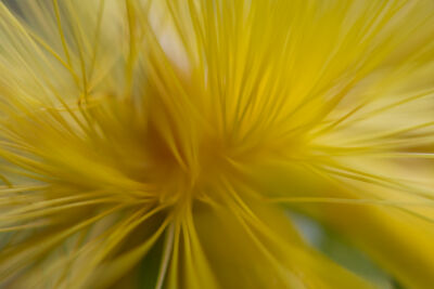Soft geel gestreept abstractheid