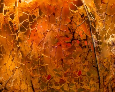 Abstract goud
