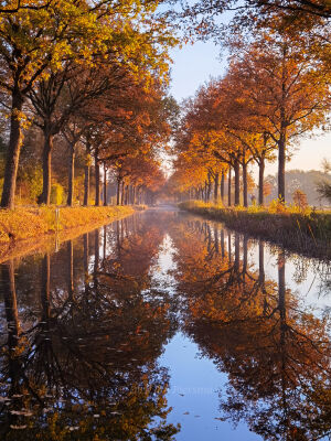 Autumn reflection in Bontebok