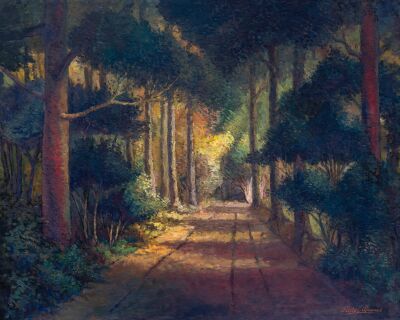 Boszicht - Het Calmeynbos in De Panne (België - West Vlaanderen) - Olieverf op doek