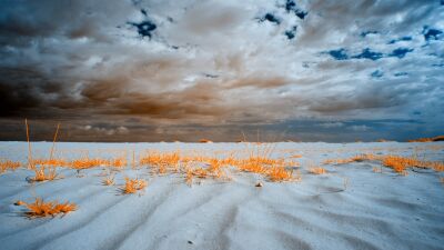 Brabantische Sahara in Infrarot – Wandkunst der Loonse und Drunense Dünen | Surreale Landschaft in Orange und Blau