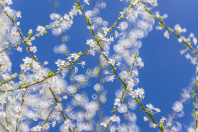 Spring is in the air