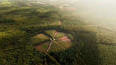 Zonsopkomst bij de eenzame Eik op de Utrechtse heuvelrug