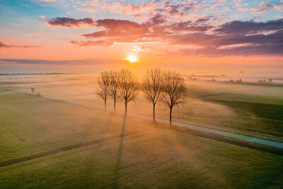 Zonlicht die door de bomen schijnt op een mistige ochtend