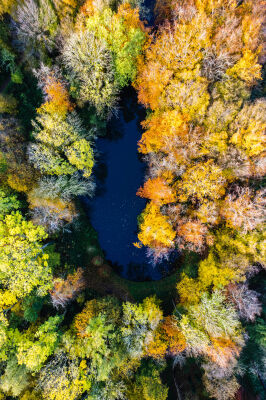 Herfstkleuren vanuit de lucht