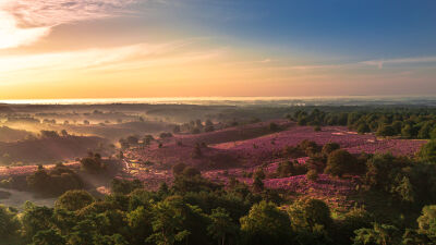 Zonsopkomst boven bloeiende heide op Posbank