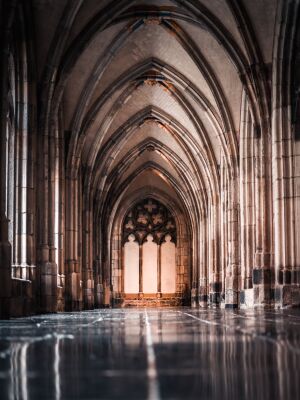 The Dom Church Garden