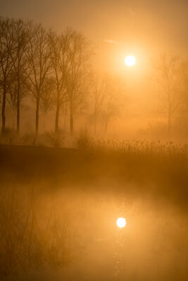 Landscape along the river