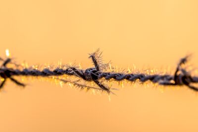 Prikkeldraad in bevroren toestand met zonsopgang