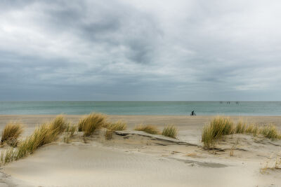 Op het strand in Zeeland