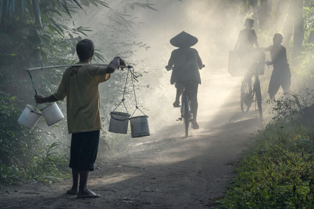 Bicycle in the mist