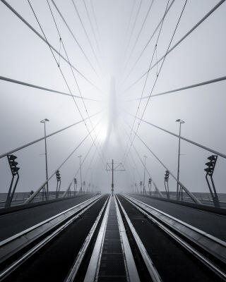 Erasmusbridge fog