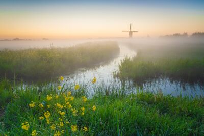 Mistige zonsopgang bij Hollandse windmolen - Een rustiek landschap met wilde bloemen en beekje