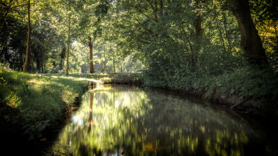 Slootje in het Leeghwaterpark in Purmerend