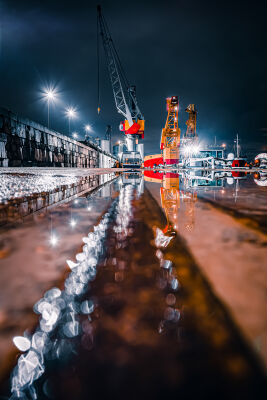 Harbour nights âš“